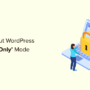How to Put WordPress in a Read Only Mode for Migrations and Maintenance